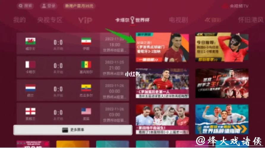 世界杯直播平台对比：收费与免费看球