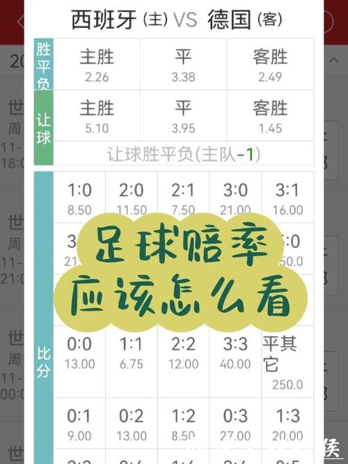 世界杯下注APP：优质平台推荐指南